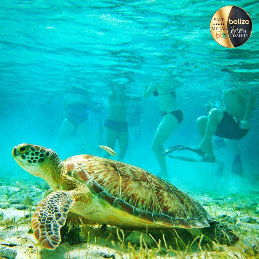 Portofino Beach Resort-An Authentic Island Escape! San Pedro  Exteriör bild